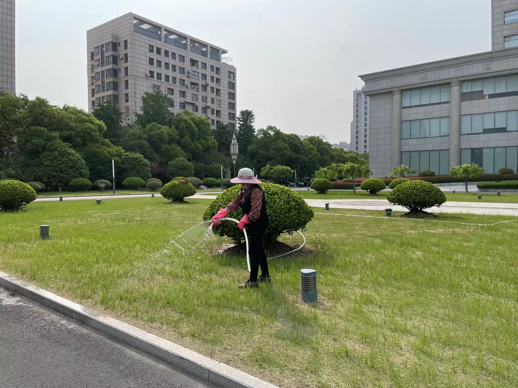 鹽城市交通運輸局大院綠化養(yǎng)護工程 鹽城市交通運輸局大院綠化養(yǎng)護工程
